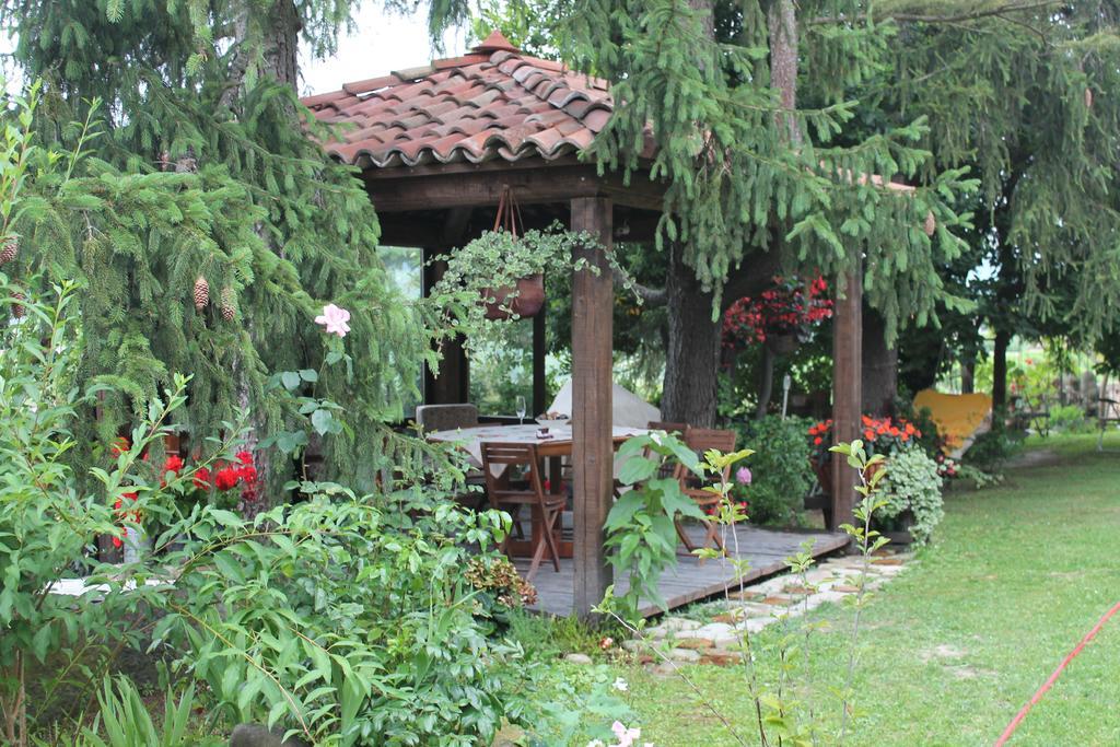 Casa Giuliana Guest House Calosso Ruang foto